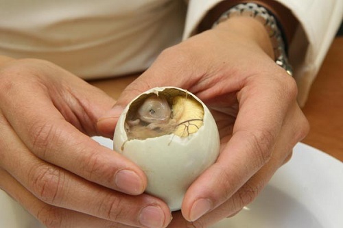 Ăn trứng vịt lộn có tốt cho tinh trùng không?