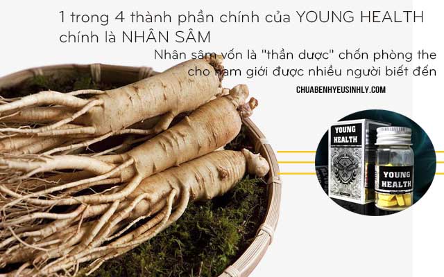 Chiết xuất Young Health